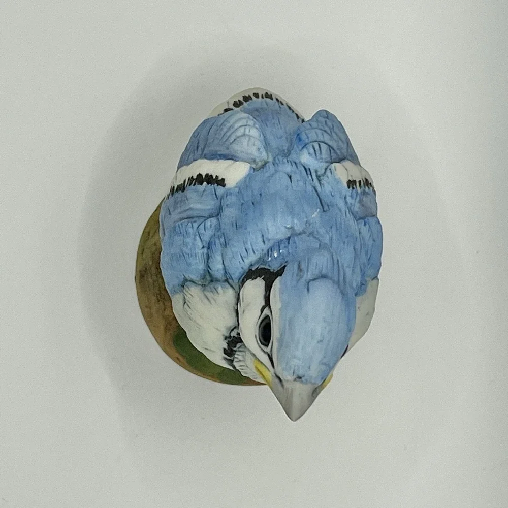 Vintage Baby Blue Jay Andrea by Sadek 4